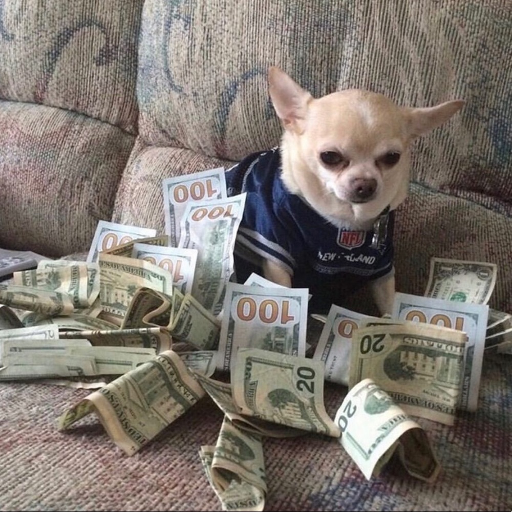 Meet your Posher, Laine